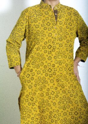 Indian ladies Garment 04