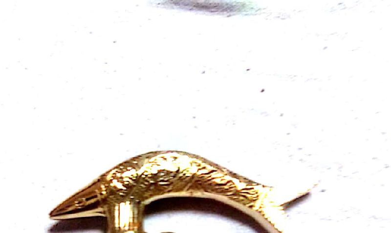 Walking Stick Brass Handle 06