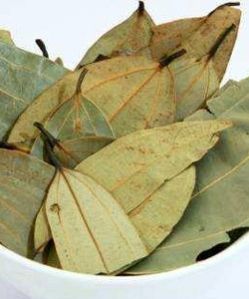 Bay Leaves