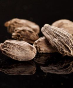 Black Cardamom