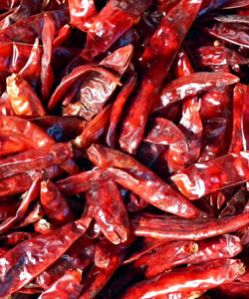Dried Red Chilli