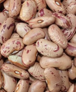 Light Speckled Kidney Beans