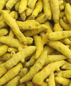 Turmeric Fingers