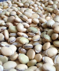 White Mochai Seeds