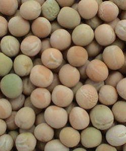 White Peas