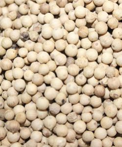 White Pepper Seeds