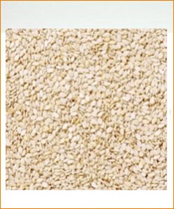 White Sesame Seeds