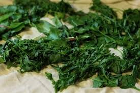 Dehydrated Spinach 03