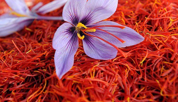 Pure Saffron