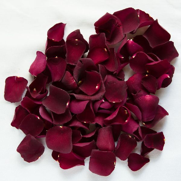 Dry Red Rose Petal 01