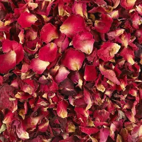 Dry Red Rose Petal 02