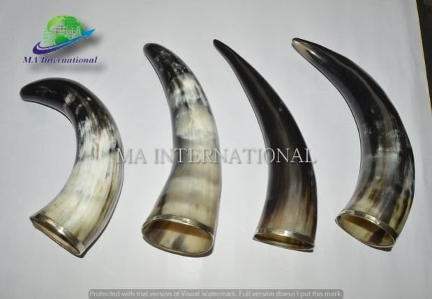 Drinking Horn