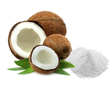 Desiccated Coconut Powder 03