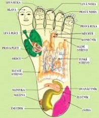 Sujok Therapy Service 02