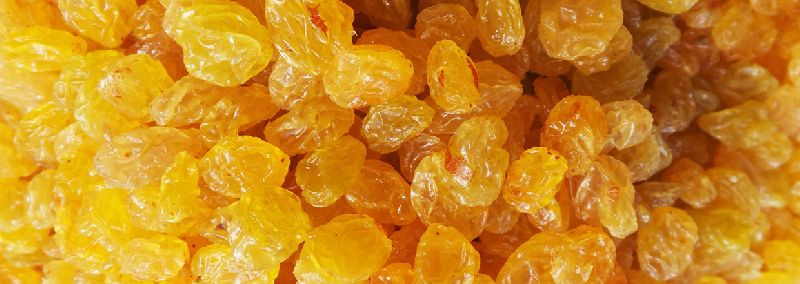 Golden Raisins 01
