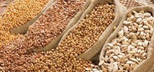 Food Grains 02