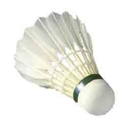 Badminton Shuttlecock 01