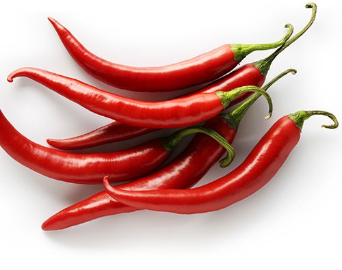Fresh Red Chilli 02