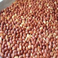 Groundnuts Kernels 01