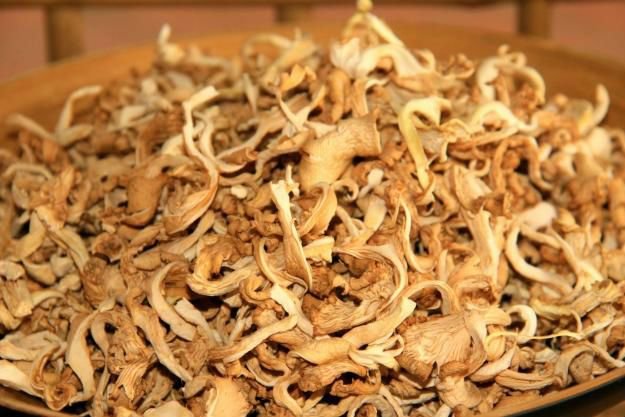 Dried Oyster Mushroom 02