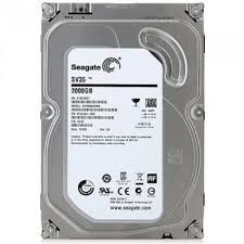 Seagate Internal