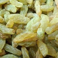 Indian Raisins - 01