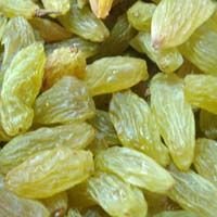 Indian Raisins - 02