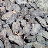 Indian Raisins - 04