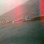 Winker Light(Floating Hose String of SBM)