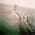 Winker Lights(At Sea On Floating Hose)