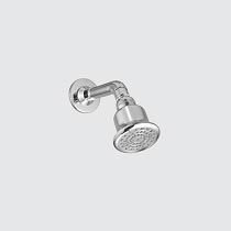 DZ-70 O/H Shower With Long Arm