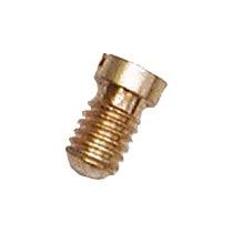 Brass Screws