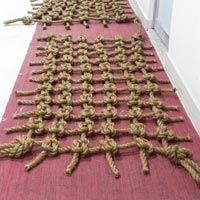 Rot Proof Nets (DSCN 1349)