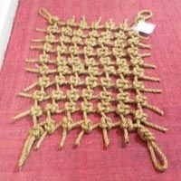 Rot Proof Nets (DSCN 1350)