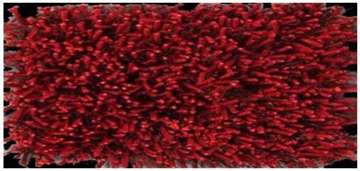 Woolen Floor Carpet 04