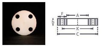 PVDF Flanges