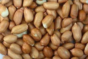 Groundnut Kernels