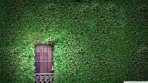 Imported Interior Wallpapers