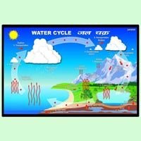 Water Cycle