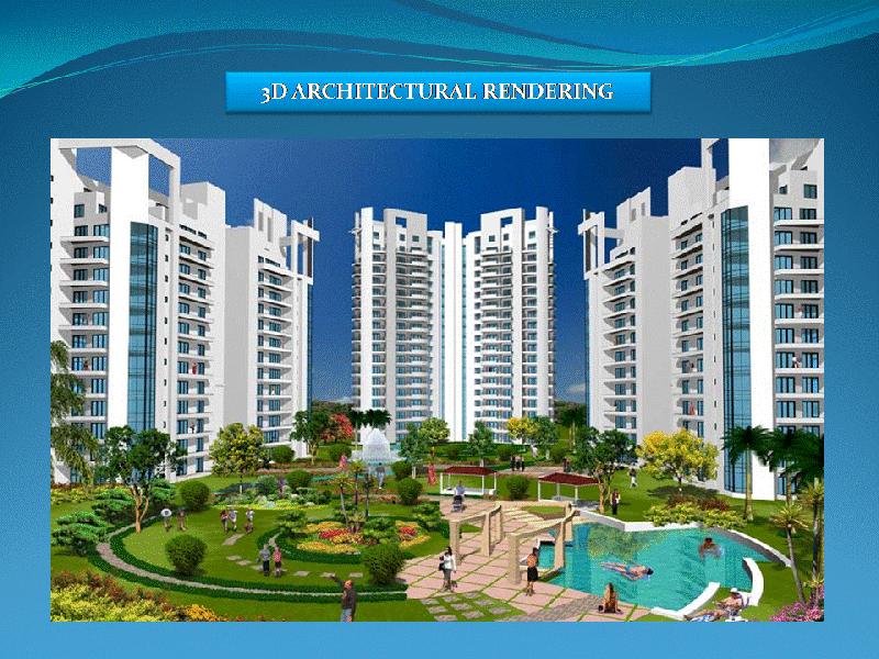 Animation Service 07