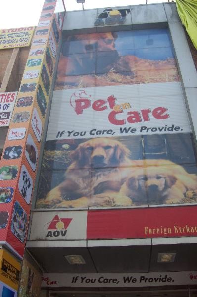 Pet En Care