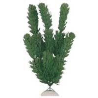 Aquarium Plant (AD-007)