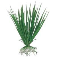 Aquarium Plant (AD-018)