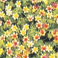 Aquarium Plant (AP-1024)