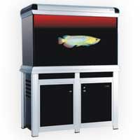  Arowana Aquarium (CLY-1200)