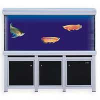 Arowana Aquarium (CLY-1500)