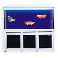 Arowana Aquarium (CLY-1800)