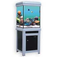 Arowana Aquarium (CLY-600)