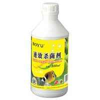 Fish Medicine (A-103)