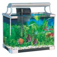 Open Aquarium (HK-420)